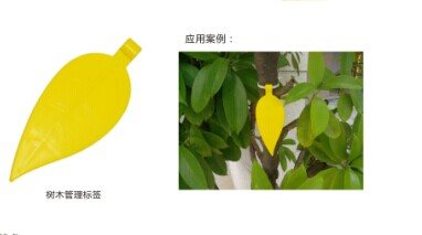 树叶标签 JT-Z5220